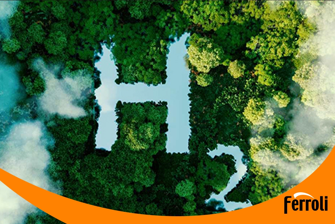 笃行脱碳之道，，同绘可持续蓝图